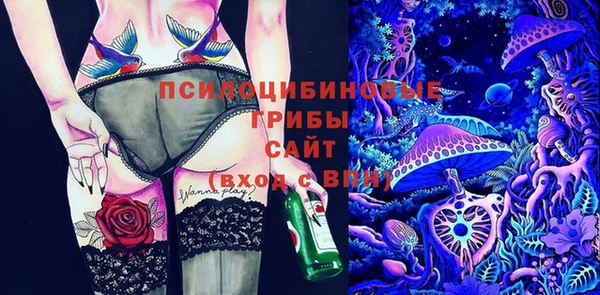 дживик Верея