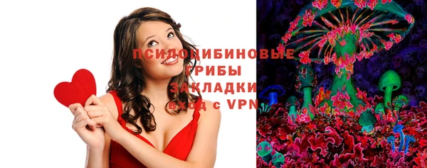 дживик Верея