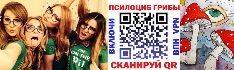 Галлюциногенные грибы Cubensis  Купить  Глазов 