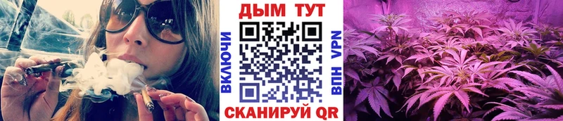 Каннабис MAZAR  Купить закладки  Глазов 